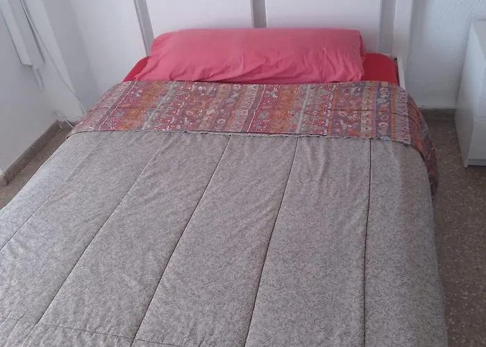 Bed & Breakfast Piso Compartido Cerca De La Universidad Ceu Moncada